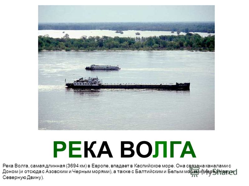Прямоугольник отношение соседних сторон Прямоугольник отношение соседних сторон