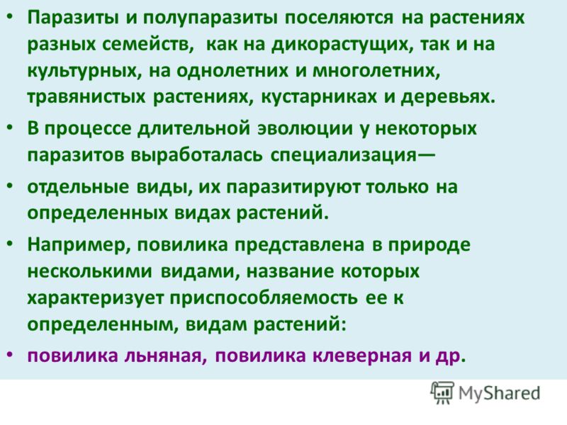 классификация паразитов человека классификация паразитов человека