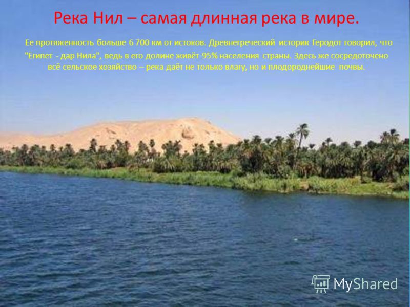самый длинный паразит в организме человека самый длинный паразит в организме человека