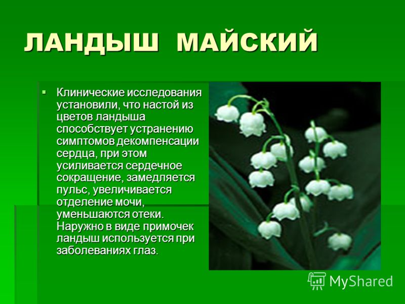 Грибок на ногте на ноге и ноготь болит это что