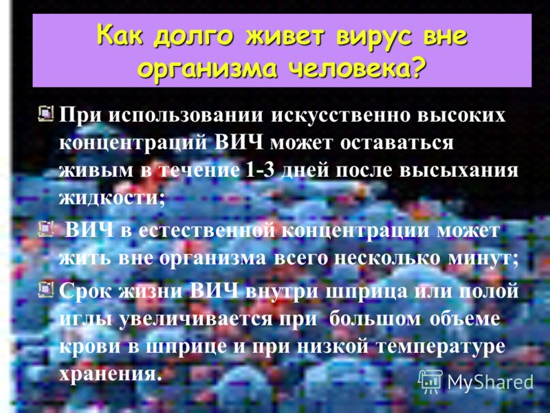 sebe syurprizi vne skolko organizma papillomi vremeni zhivet virus otkrovenno sovershenno pravi Сколько времени живет вирус папилломы вне организма фото