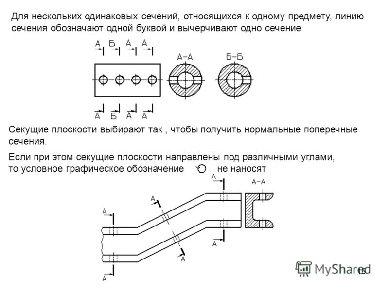 Секс Вид В Разрезе