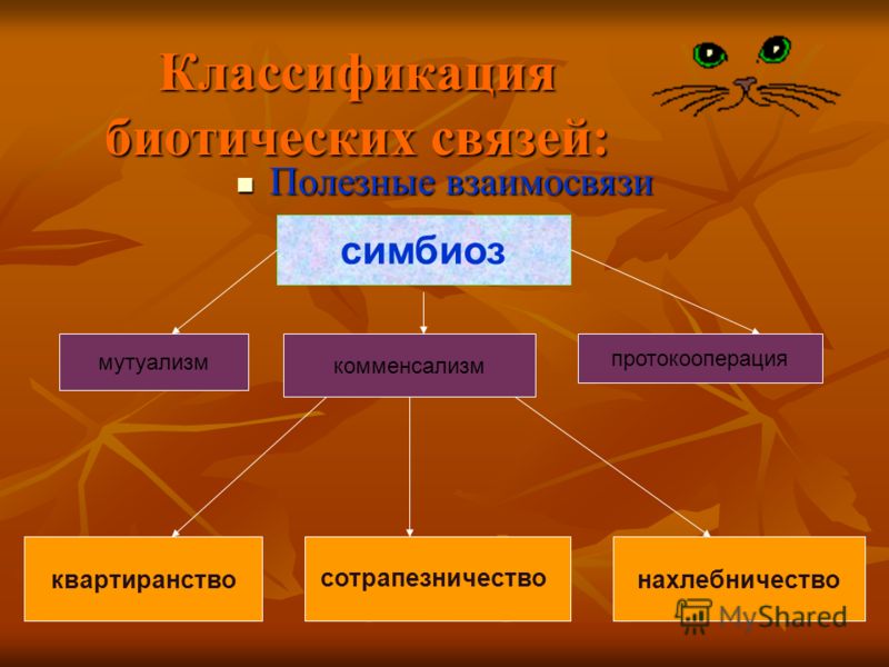 Печи для дачи, как правильно выбрать печку для дачи, фото Открытки с днем ГИБДД - Поздравительные открытки