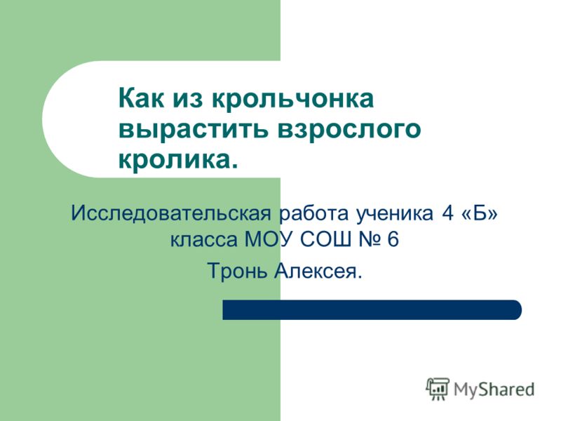 Научно исследовательская работа 4 класс скачать