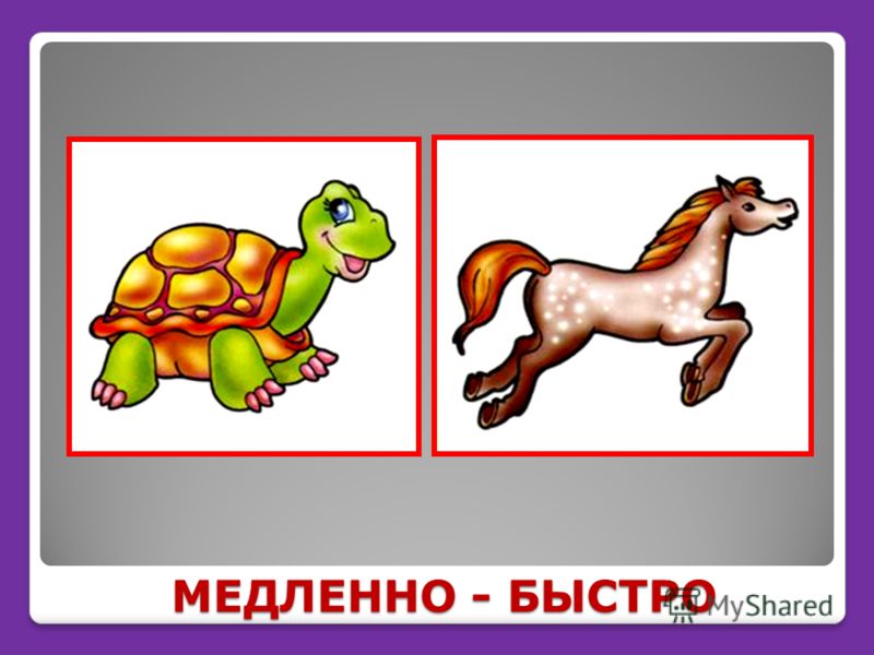 ОРГАНИЗАЦИЯ ДОСУГОВОЙ ДЕЯТЕЛЬНОСТИ МЛАДШИХ ШКОЛЬНИКОВ - VI На ноге лопнула вена внутри синяк