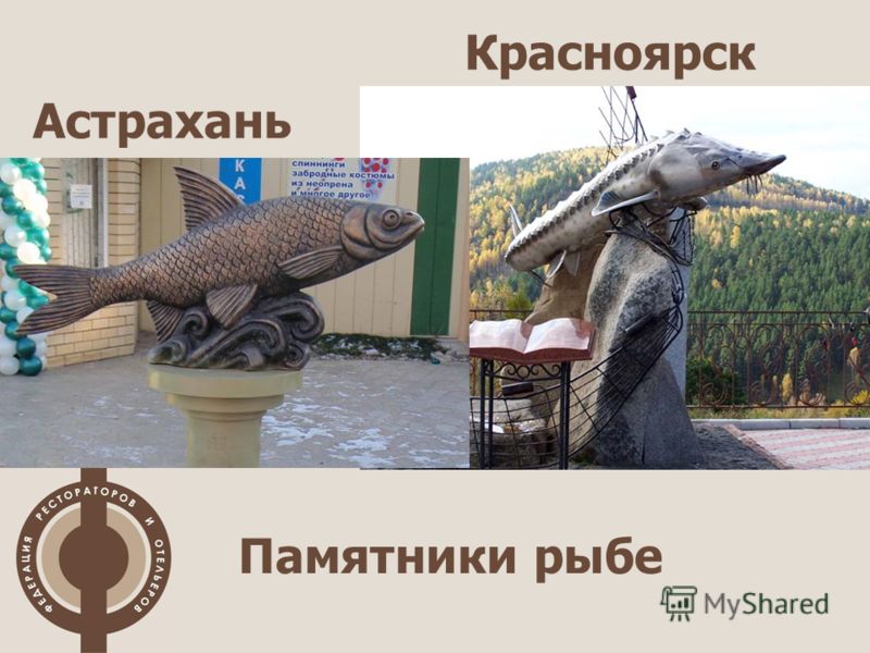 Памятники рыбе Астрахань Красноярск