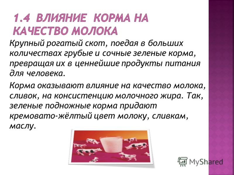 как выявить наличие паразитов в организме человека как выявить наличие паразитов в организме человека