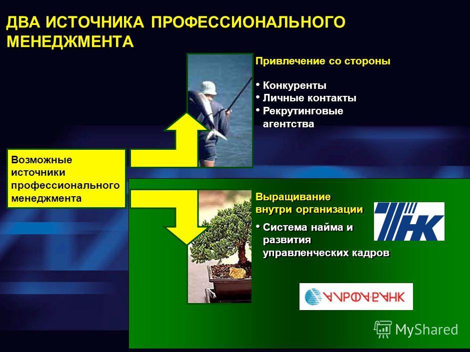 Управление проектами в профессиональной деятельности