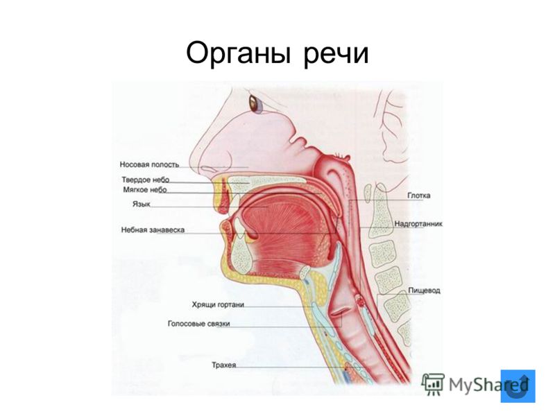 Девушка и море художник Девушка и море художник