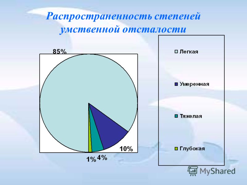 Программа умственно отсталые методистое