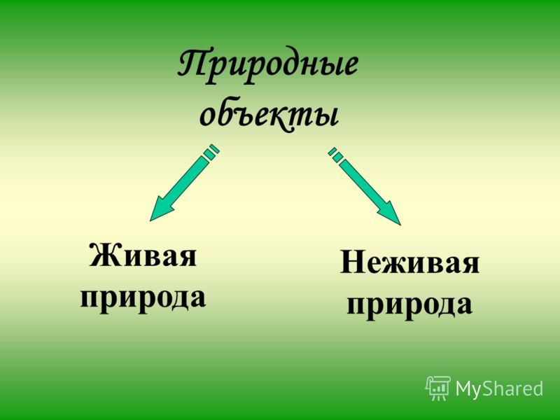 Картинки для детей объекты неживой природы Картинки для детей объекты неживой природы