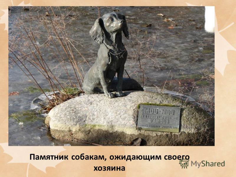 Памятник собакам, ожидающим своего хозяина