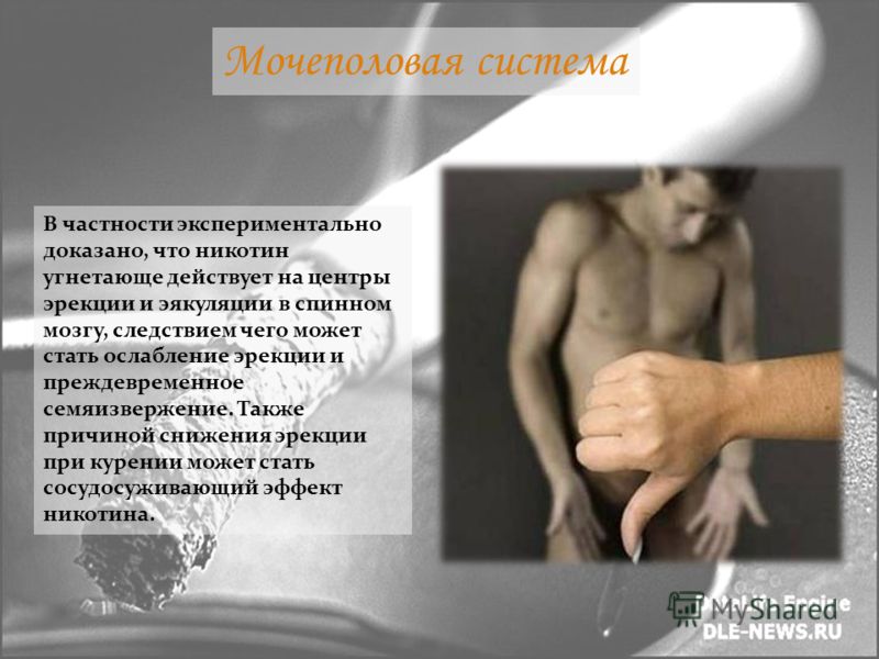 Ослабла Эррекция
