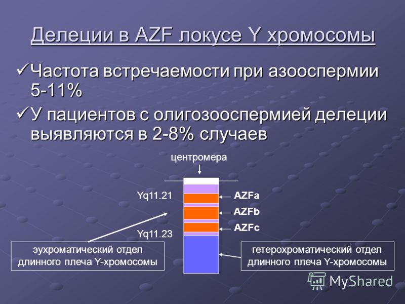 Делеции в AZF локусе Y хромосомы Частота встречаемости при азооспермии 5-11% Частота встречаемости при азооспермии 5-11% У пациентов с олигозооспермией делеции выявляются в 2-8% случаев У пациентов с олигозооспермией делеции выявляются в 2-8% случаев