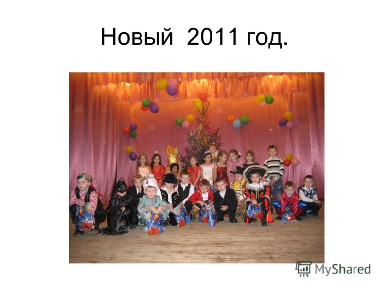 Новый 2011 год.