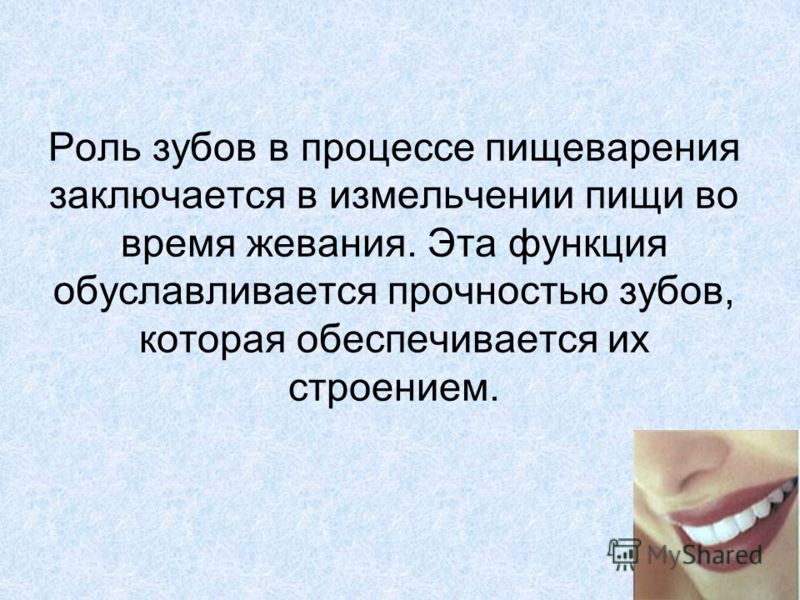 Цемент зуба строение цемента Цемент зуба строение цемента