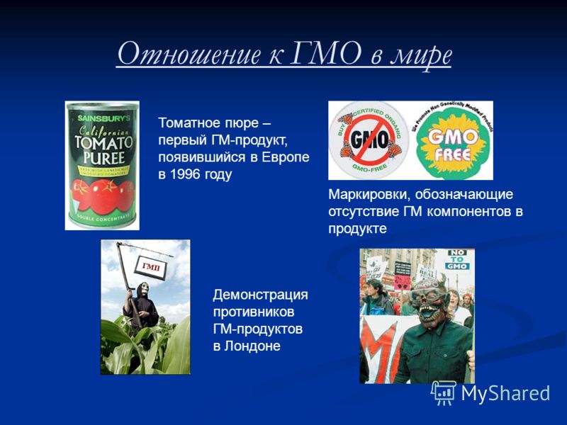 Отношение к ГМО в мире Томатное пюре – первый ГМ-продукт, появившийся в Европе в 1996 году Демонстрация противников ГМ-продуктов в Лондоне Маркировки, обозначающие отсутствие ГМ компонентов в продукте