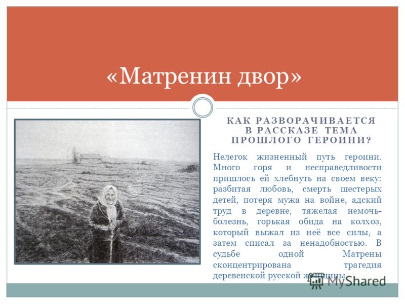 Афоризмы из матрениного двора Афоризмы из матрениного двора