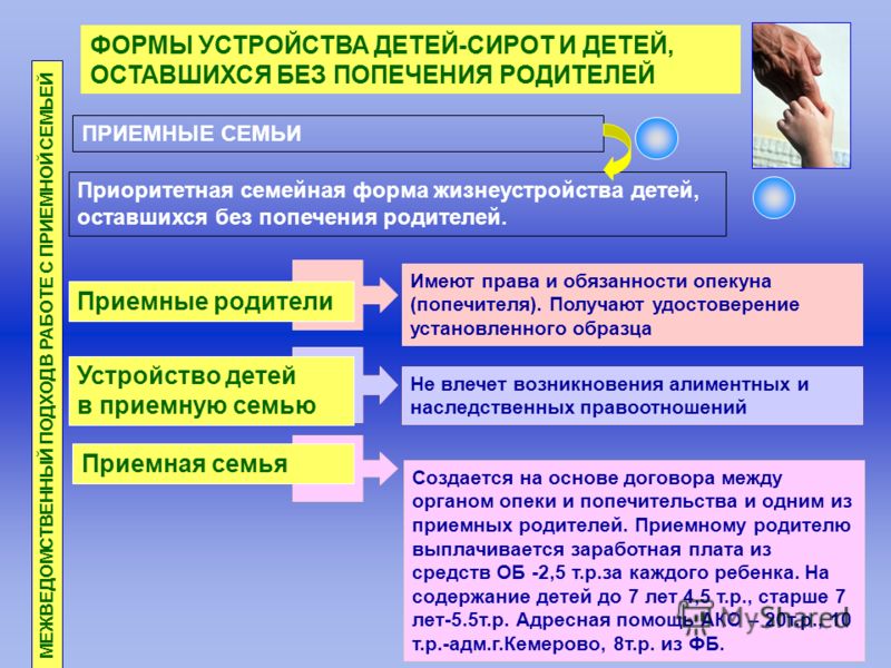 чем семейное право дети формы устройства спросил Элвин