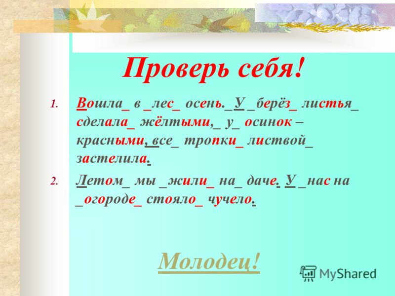 Как написать поздравление без ошибок Как написать поздравление без ошибок