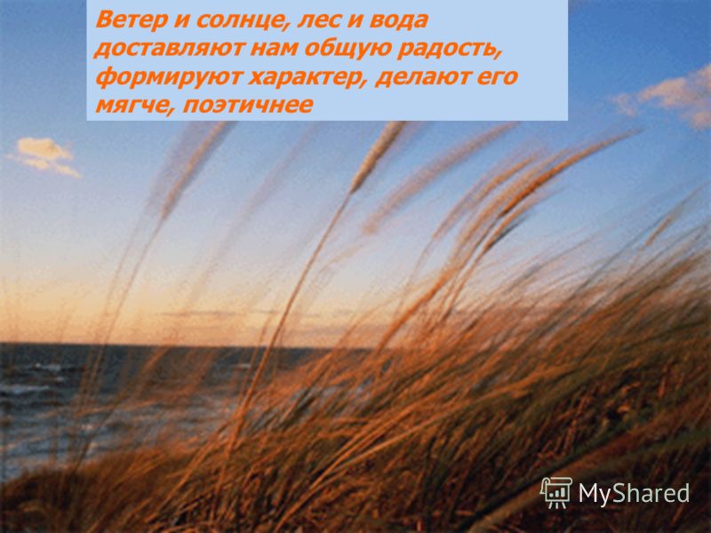 Ветер и солнце как связаны Ветер и солнце как связаны