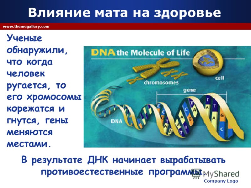 Company Logo www.themegallery.com В результате ДНК начинает вырабатывать противоестественные программы. Влияние мата на здоровье Ученые обнаружили, что когда человек ругается, то его хромосомы корежатся и гнутся, гены меняются местами.