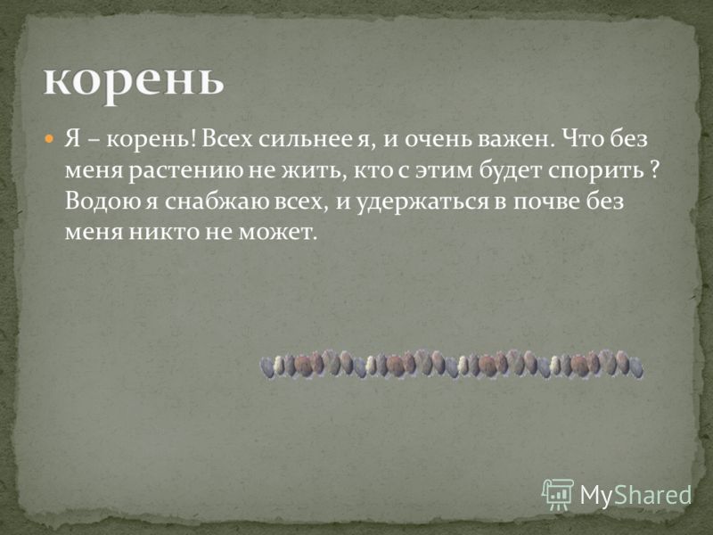 Что связано с побегом Что связано с побегом
