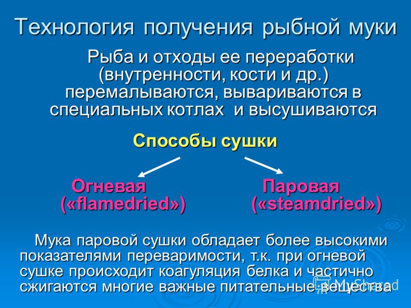 методы обнаружения паразитов в организме человека методы обнаружения паразитов в организме человека