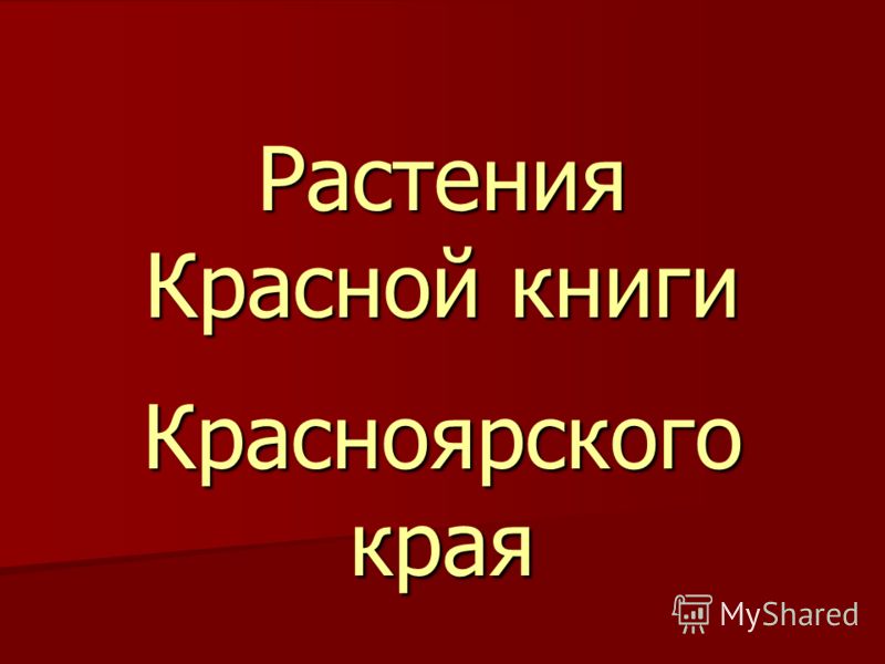 Картинки красной книги природы Картинки красной книги природы