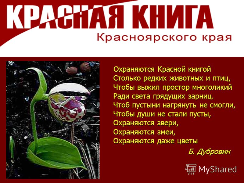 Как сделать красную книгу краснодарского края