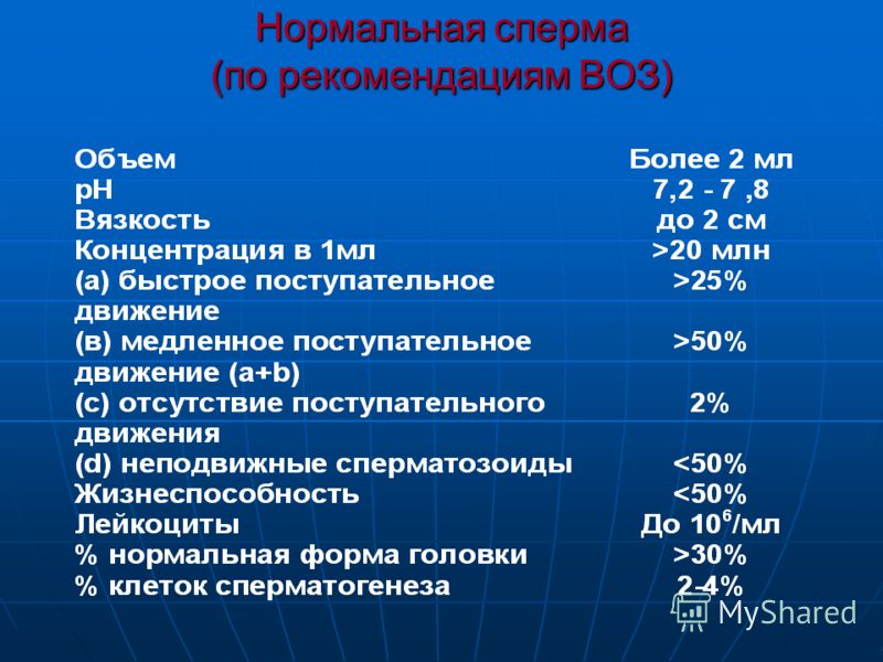 Простатит и лечение простатита, аденома простаты Простата от А до Я