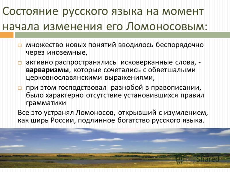 Доклад: Михаил Ломоносов, его вклад в развитие русского литературного языка Доклад: Михаил Ломоносов, его вклад в развитие русского литературного языка