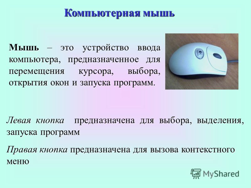 Компьютерная мышь Мышь – –– – это устройство ввода компьютера, предназначенное для перемещения курсора, выбора, открытия окон и запуска программ. Левая кнопка предназначена для выбора, выделения, запуска программ Правая кнопка предназначена для вызов