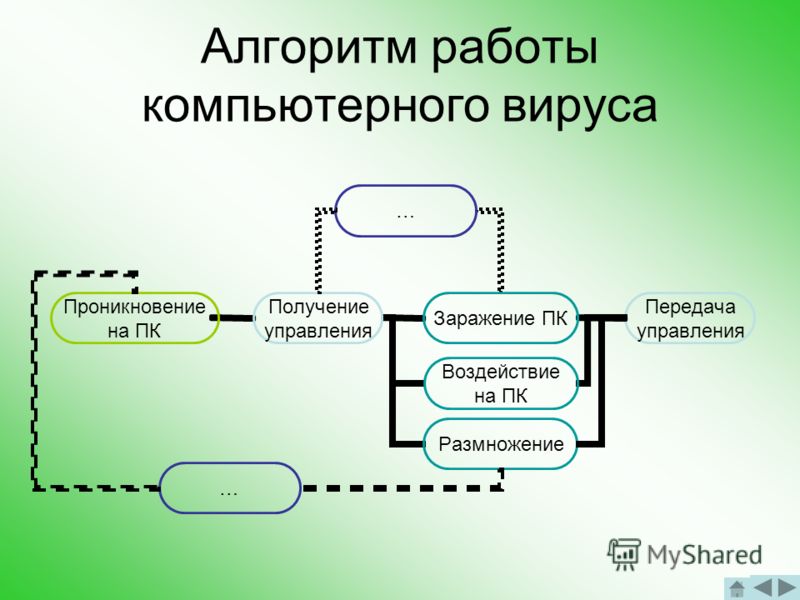 Дипломная работа: Компьютерные вирусы и борьба с ними