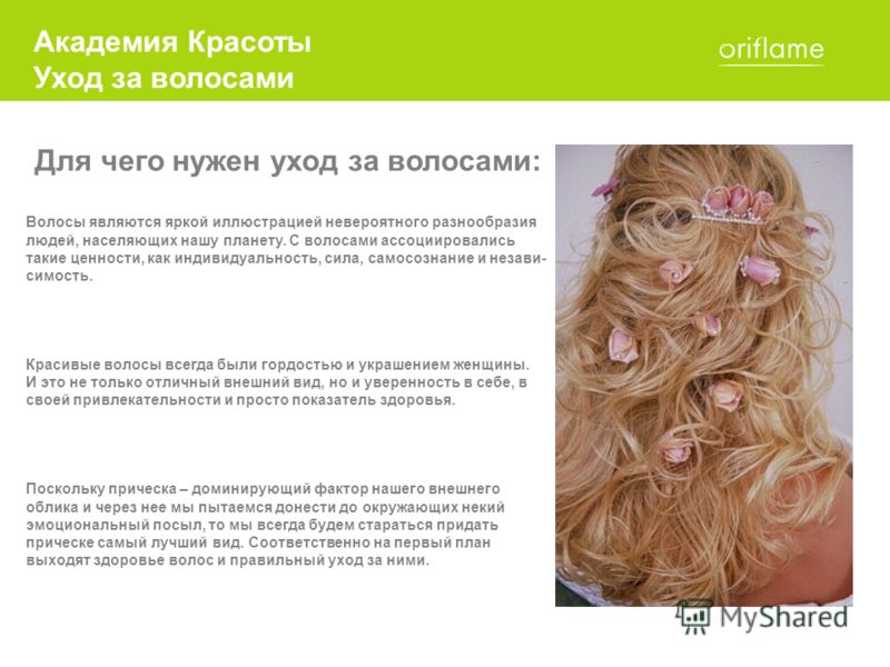Хищник из пластики Хищник из пластики