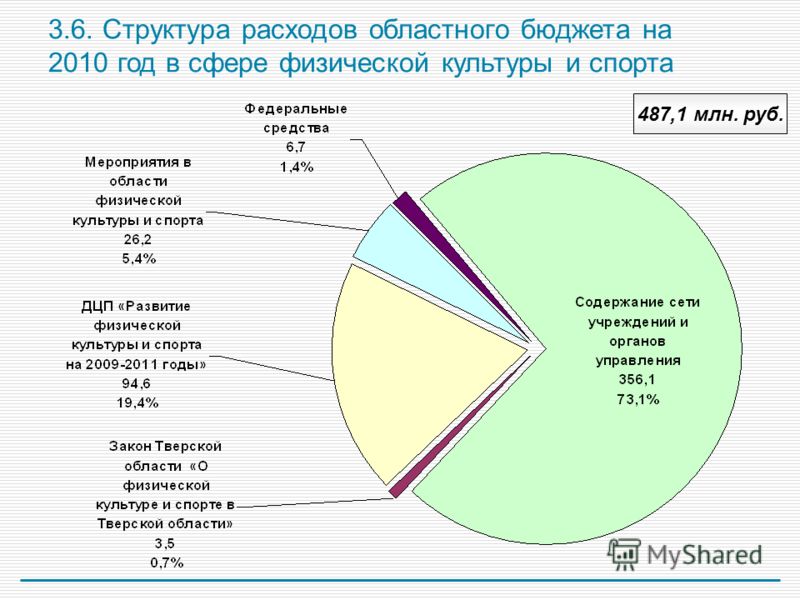 3.6. Структура расходов областного бюджета на 2010 год в сфере физической культуры и спорта 487,1 млн. руб.
