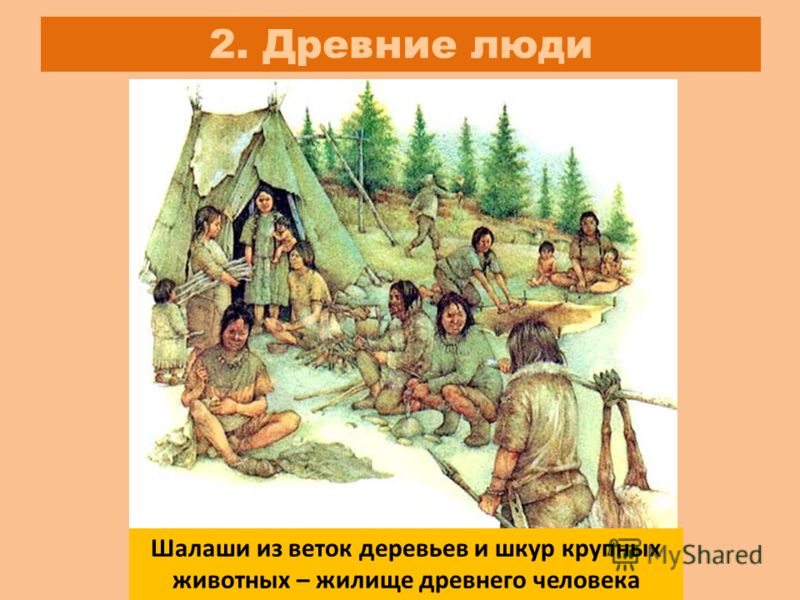 Одежда из шкур зверей Одежда из шкур зверей