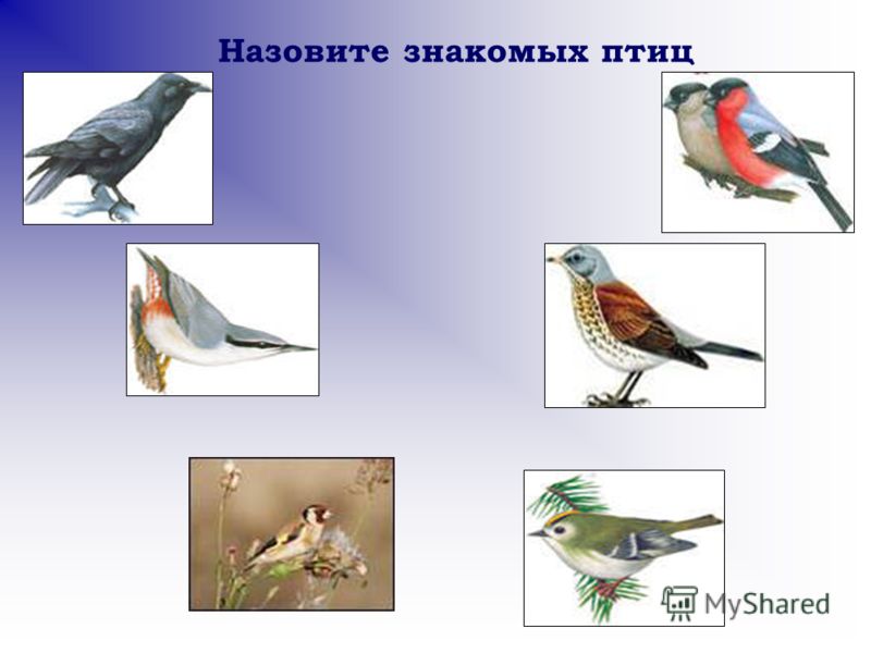 Дистанционные Детские стихи про семью