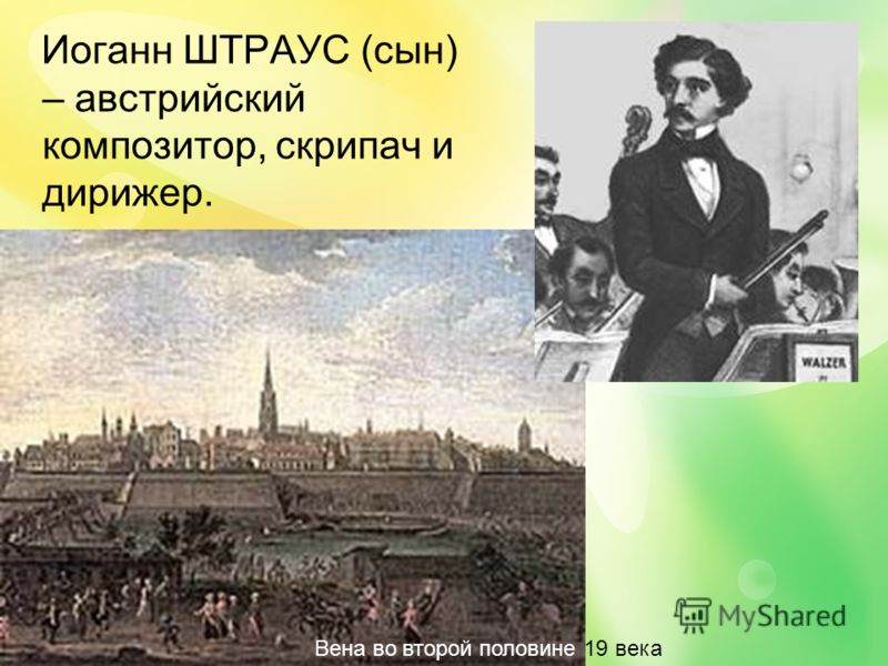 Реферат по теме Два Штрауса Реферат по теме Два Штрауса