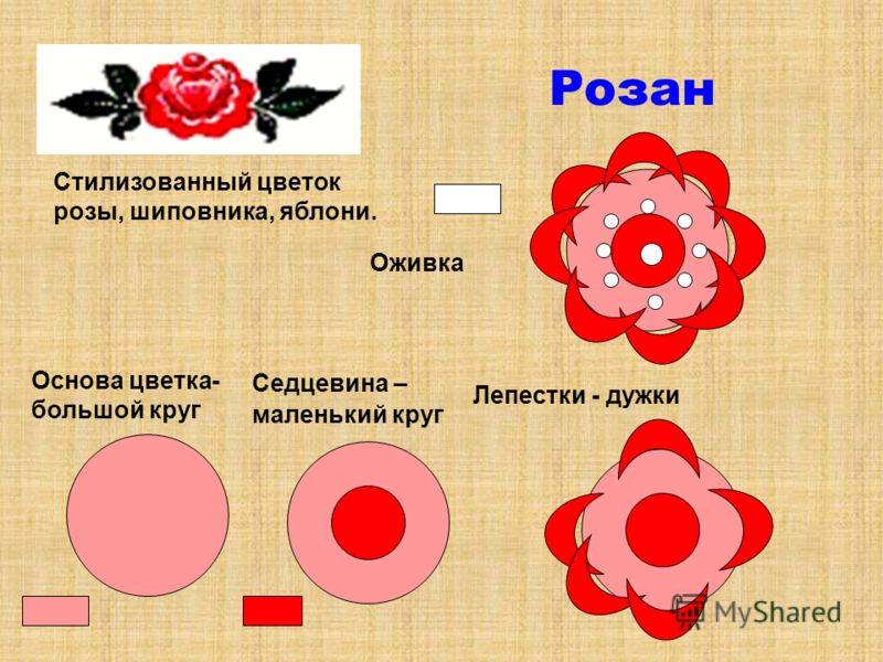 Розан Стилизованный цветок розы, шиповника, яблони. Основа цветка- большой круг Седцевина – маленький круг Лепестки - дужки Оживка
