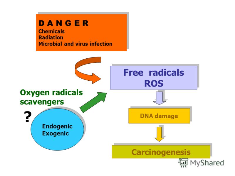 D A N G E R Chemicals Radiation Microbial and virus infection D A N G E R Chemicals Radiation Microbial and virus infection Free radicals ROS Free radicals ROS DNA damage Carcinogenesis Endogenic Exogenic ? Oxygen radicals scavengers