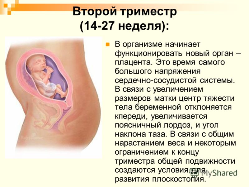 359Чего нельзя делать беременным в 13 недель