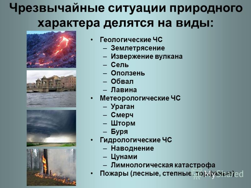 Курсовая работа по теме Чрезвычайные ситуации природного характера на примере цунами