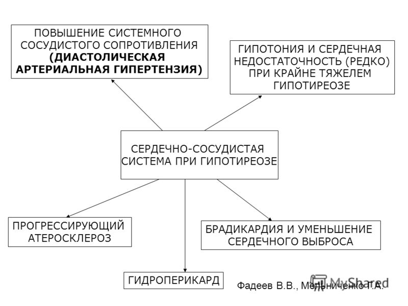 Как вылечить цветок алоэ