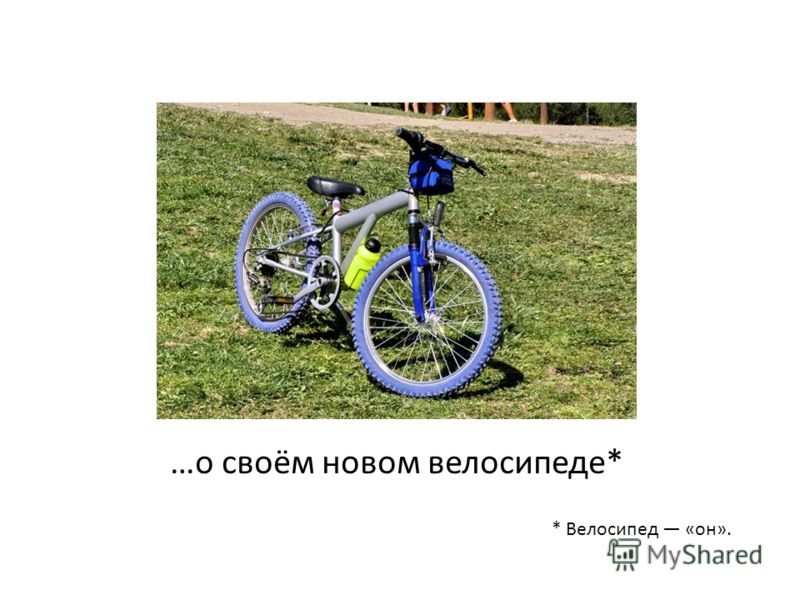 …о своём новом велосипеде* * Велосипед «он».