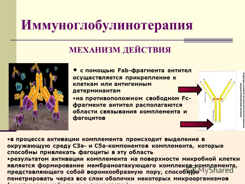 биовен при беременности биовен при беременности