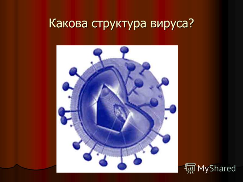 Каким образом может произойти заражение? Существует всего три пути инфицирования ВИЧ: Существует всего три пути инфицирования ВИЧ: 1.Сексуальный – через незащищенный (без презерватива) проникающий сексуальный контакт ( попадание крови, спермы и вагин