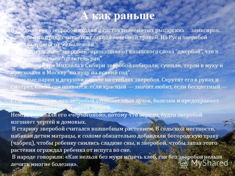 зверобой от паразитов в легких зверобой от паразитов в легких