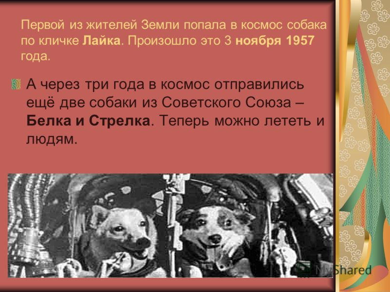 Первой из жителей Земли попала в космос собака по кличке Лайка. Произошло это 3 ноября 1957 года. А через три года в космос отправились ещё две собаки из Советского Союза – Белка и Стрелка. Теперь можно лететь и людям.