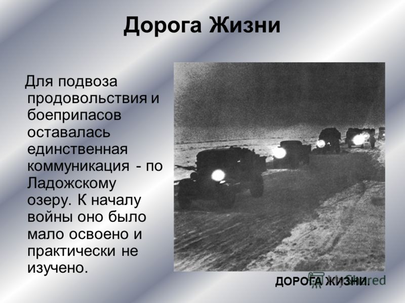 Оборона И Блокада Ленинграда Реферат Оборона И Блокада Ленинграда Реферат